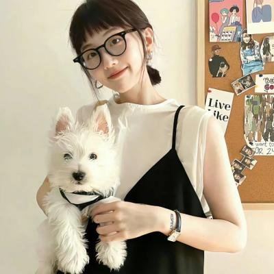 萌犬好声音4